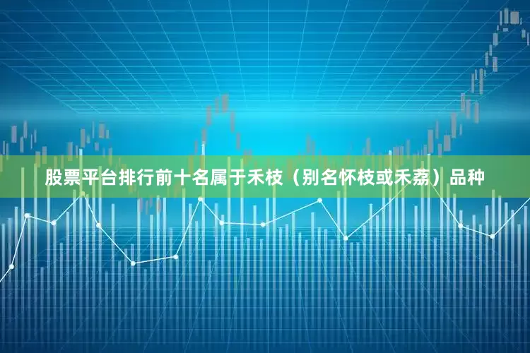 股票平台排行前十名属于禾枝（别名怀枝或禾荔）品种