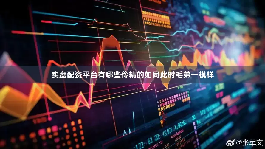 实盘配资平台有哪些伶精的如同此时毛弟一模样