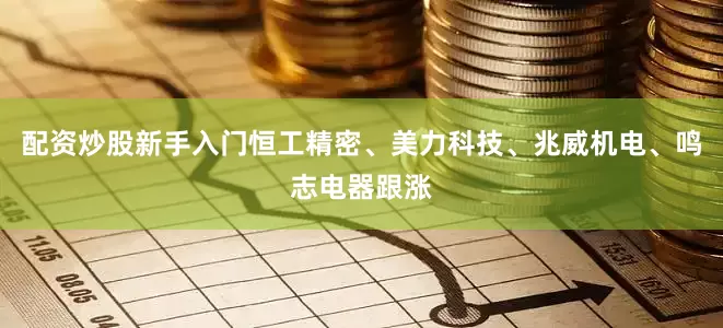 配资炒股新手入门恒工精密、美力科技、兆威机电、鸣志电器跟涨