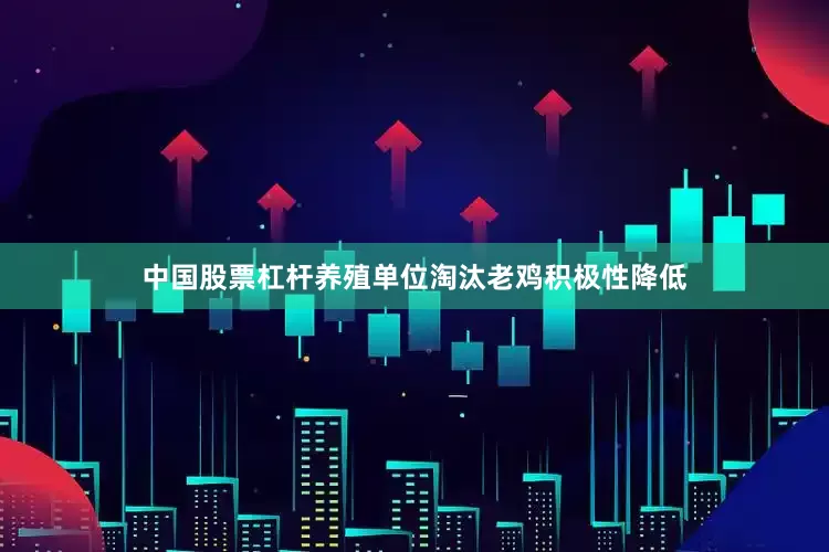 中国股票杠杆养殖单位淘汰老鸡积极性降低