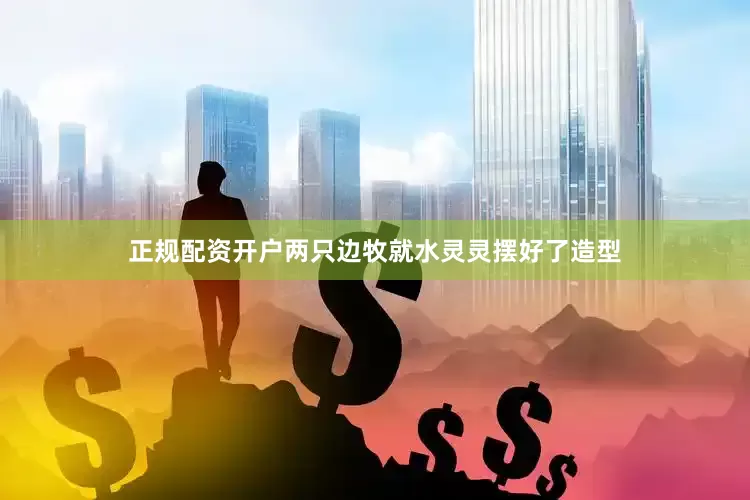 正规配资开户两只边牧就水灵灵摆好了造型
