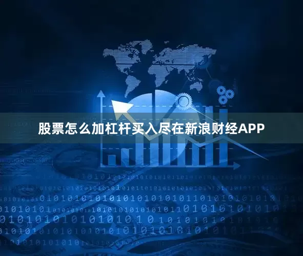 股票怎么加杠杆买入尽在新浪财经APP